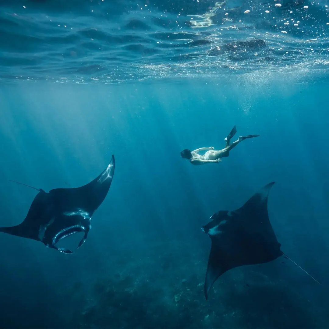 Snorkeling Trip
